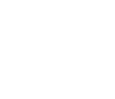 traveling wiz white logo