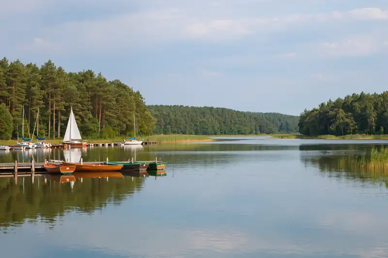 Giżycko lakeside with boats and forest